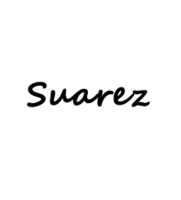 Suárez Bags and Shoes | SARTORIAL